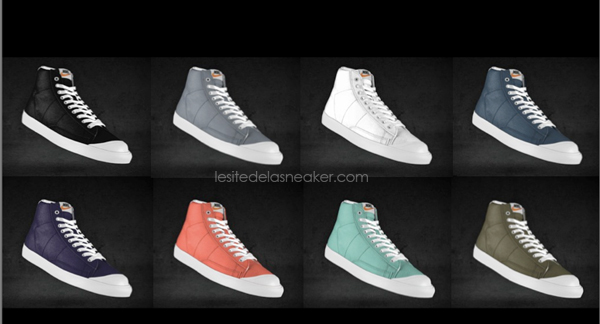 nike blazer femme toutes les couleurs